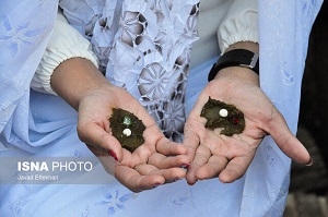  از شگونِ قند بله‌برون تا سرخیِ انگشتان حنا زده عروس